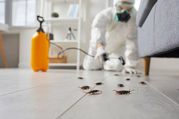 Commercial Kitchen Cockroach Control in Carey